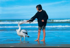 Much-loved film: Greg Rowe and pelican in <i>Storm Boy</i>.