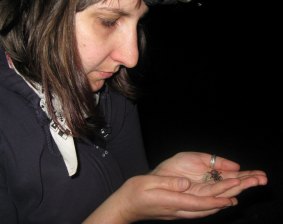 Dr Beavis collecting spiders in Queensland's Atherton Tablelands.