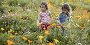 Twins Gabriel and Camille, 6yrs with mum Nathalie Segeral of Forest Lodge, enjoying the Wildflower Meadow at the start of Spring in Sydney on September 11, 2021. Photo:Â Anna Kucera