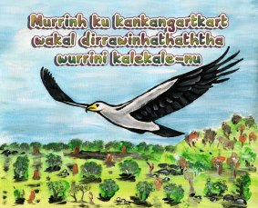 An Indigenous children's book produced by a team in Wadeye in the Northern Territory.