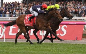 He knows what to do: Kerrin McEvoy (left) on Almandin and eyelash ahead of Joao Moreira on  Heartbreak City in the Melbourne Cup on Tuesday.