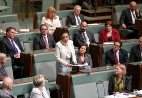 Anne Aly making her maiden speech in federal Parliament in September.