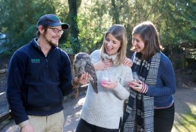 Drops from iconic Yarra Valley producers are available to enjoy in the Healesville Sanctuary's surrounds for the 2018 Wine and Wildlife event.