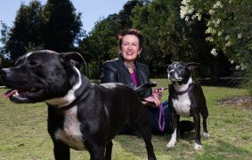 Sydney Lord Mayor Clover Moore was elected for an historic fourth term. 