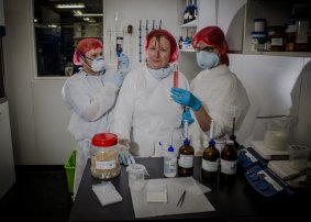 The owner of Ainslie Chemmart Compounding Pharmacy Colette Needham, centre, has worked at the Ainslie shops for more than 30 years. She is with compacting technicians Tim Veldre, left, and Kimberly Dunford.



