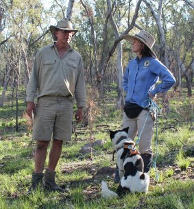 Murray Haseler and Amanda Hancock are using dogs to sniff out endangered quolls in central Queensland.