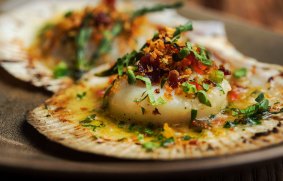 Scallops are pricey but delicious. 