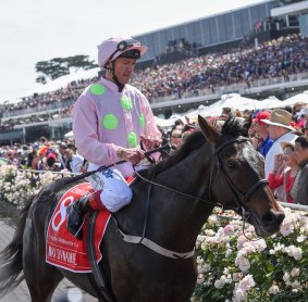 The internationals didn't have it all their own way in the Melbourne Cup. French horse Max Dynamite did best, coming in second. 
