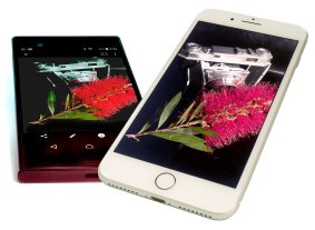 Sony Xperia XZ vs iPhone 7 Plus: the choice is yours.