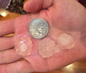 Hailstones the size of 20c coins.