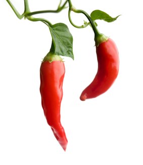 A new study has found that the consumption of hot red chilli peppers delayed death among those who ate the spicy fruit.