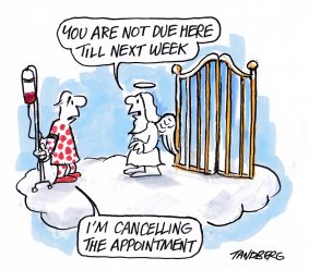 One of Tandberg's last cartoons about his struggle with cancer.