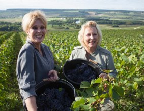 Joanna Lumley and Jennifer Saunders pick grapes in <I>Absolutely Champers</I>.