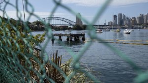 View of Berry Bay in Waverton, Sydney on February 11, 2021. Photo: Dominic Lorrimer