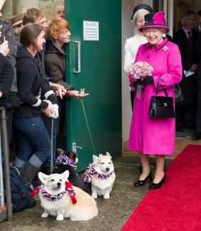 Queen Elizabeth II greets wellwishers with corgis during a visit to Sherborne Abbey.