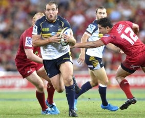 Wallabies coach Michael Cheika says he's been impressed with Ben Alexander's start to the season.
