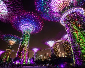 SIngapore's Gardens by the Bay, on Andrew Barr's recent Singapore itinerary, as a result of which Canberra and Singapore are discussing "cooperation on future horticultural opportunities".