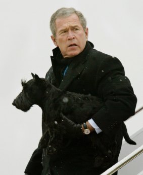 President George W. Bush walking off Air Force One with his dog, Barney in 2001.