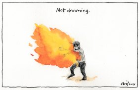 The government's empty "saving lives" rhetoric skewered. Illustration by Cathy Wilcox.