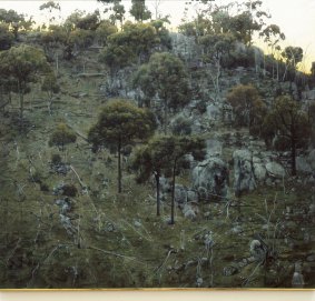 A bush scene by William Delafield Cook.