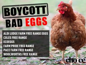 Choice has called for a boycott of free range egg brands that have high stocking densities.