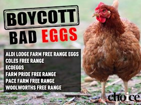 Choice has called for a boycott of free range egg brands that have high stocking densities.