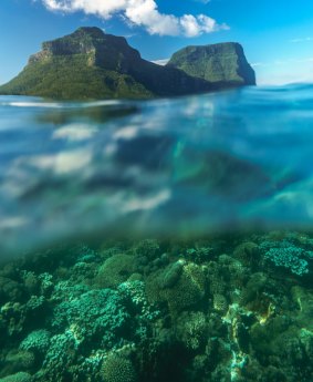 Majestic Lord Howe Island. 

