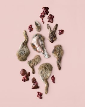 Eat the Problem by Kirsha Kaechele includes a rabbit recipe by Germaine Greer.