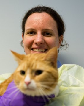 Lara Boland at the University Veterinary Teaching Hospital, in Sydney with Cyrill, a three-year-old male cat who needs a home. 