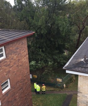 Emergency services assess a nature pond that has partially collapsed next to a unit complex in Ewart St, Marrickville.