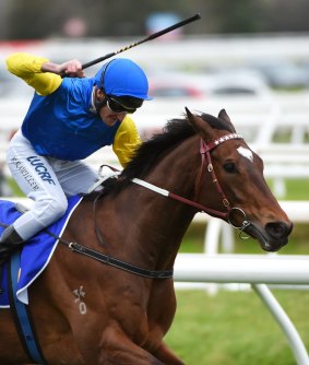 Black Heart Bart is looking for success in the Goodwood Handicap.