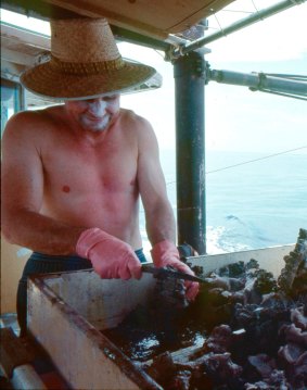 Joe Baker collects samples during field work at sea in 1976.