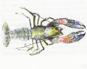 A crayfish drawing by Garth Dixon.
