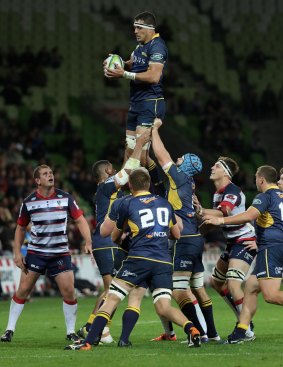 Towering tyro: Brumbies forward Rory Arnold takes a lineout.