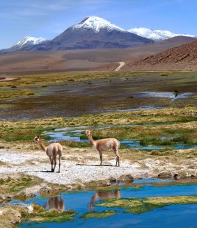 On the road through the Andes near Paso Jama, Chile-Argentina-Bolivia.