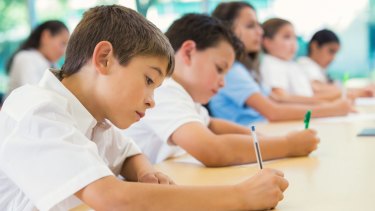 Online NAPLAN tests were supposed to begin this year, but the states and territories pulled out, citing concerns about technological glitches.