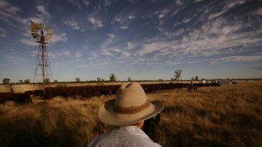 Gina Rinehart's joint bid for S. Kidman & Co's cattle stations has jumped its final hurdle.