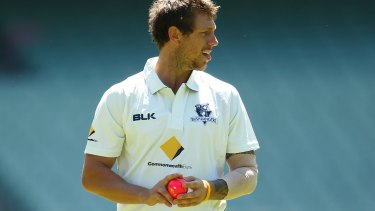 James Pattinson did some damage with the pink ball at shield level.