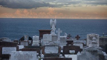 Sought after: Gravestones at Waverley Cemetery, where plots are in high demand. A burial certificate with a 25-year tenure at the cemetery costs $23,420.