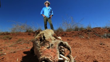 Brendan Cullen stands near the skeleton of a wild dog, which had likely been killed by bait. 