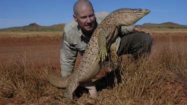 Bryan Fry with a yellow-spotted monitor lizard in the Pilbara in 2005. This peak predator has been 'hammered' by the cane toad, Associate Professor Fry said.