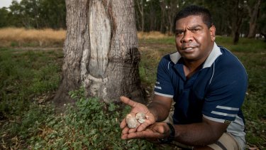 Jida Murray Gulpilil near the banks of Lake Boort with some clay balls which were used in cooking like heat beads are today.