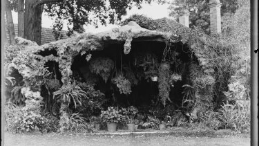 Potted plants in Sir Keith and Lady Murdoch's gardens at Cruden Farm  about 1930.