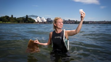 Marine ecologist Rebecca Morris installing new seawall pots along the Sydney Harbour at the Royal Botanic Gardens.
