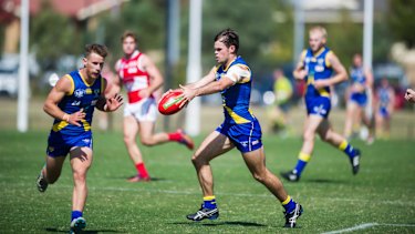 Neafl Sydney University Destroys Canberra Demons Finals Hopes At Manuka Oval