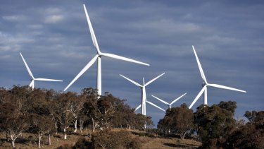The federal government has ordered the Clean Energy Finance Corporation against investing further in wind energy.