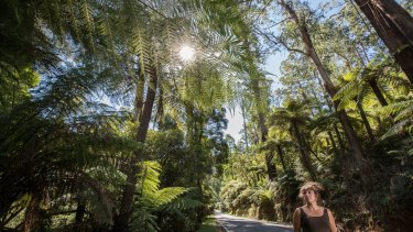 Deanne Eccles, owner of the Strathvea Guest House, says a Great Forest National Park would boost the economy.