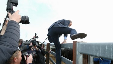 Prime Minister Tony Abbott climbs over a fence during his visit to a Yass cattle farm.