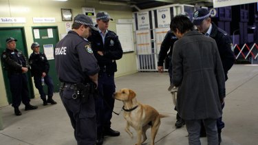 Not always accurate: Police sniffer dogs at work at St Peters station.