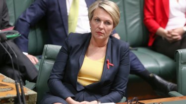 Tanya Plibersek says Labor would remove children from detention as soon as possible. 